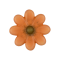 Décors fleurs en chocolat x144