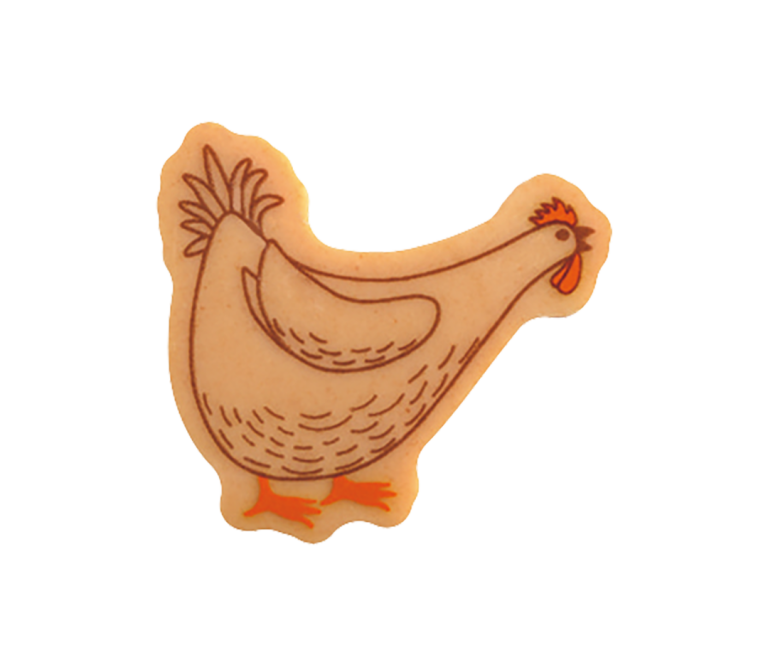 180 Poules CBC 4 designs