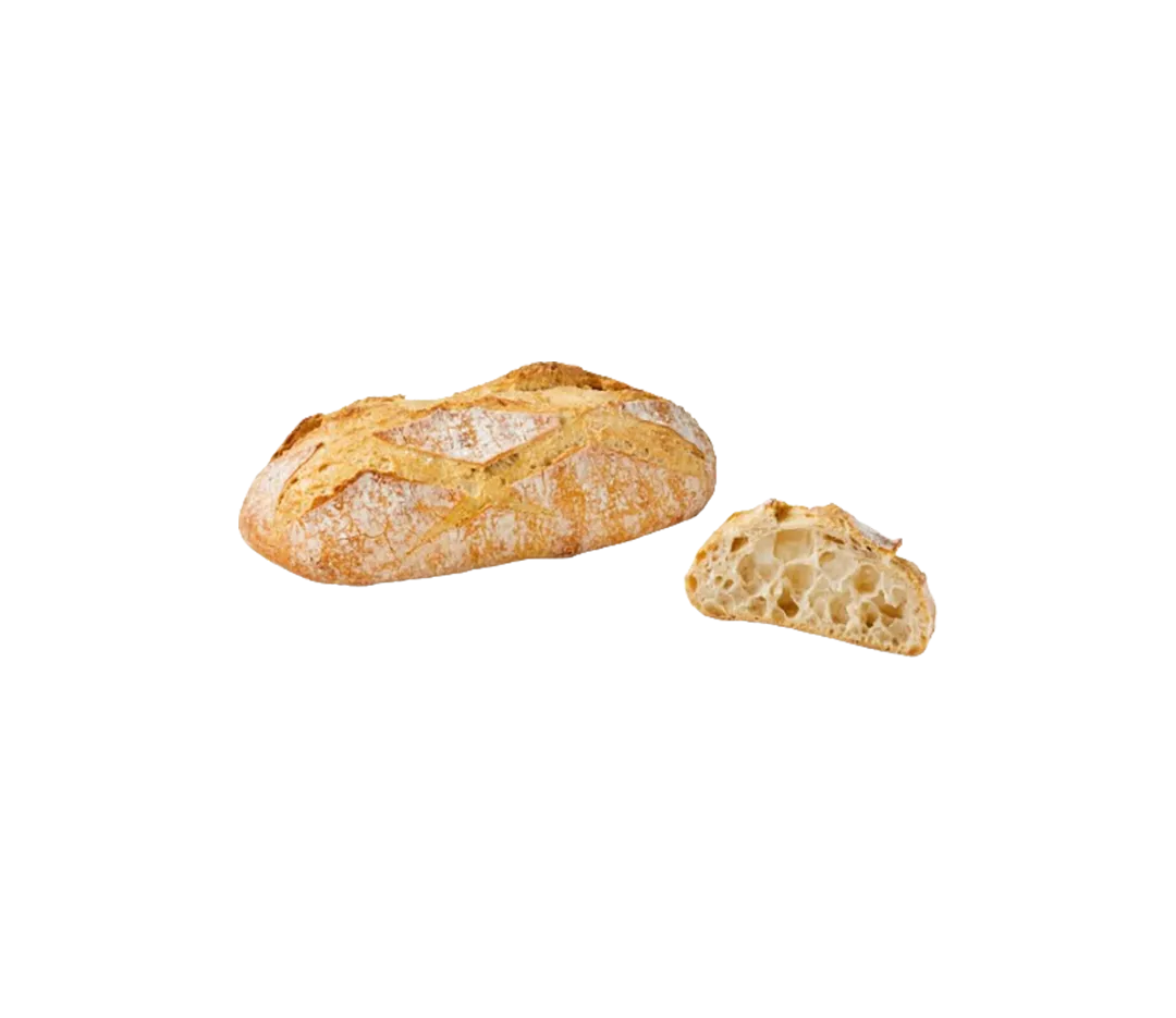 PAIN CAMPAGNE PRECUIT BIO 400G CT15