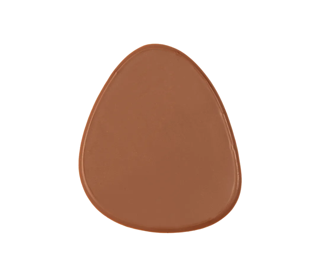 Décor en chocolat embout lait x52