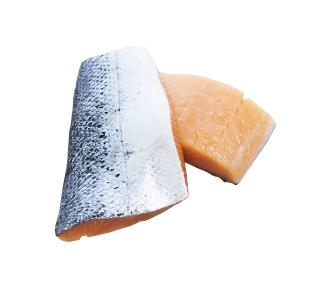 Pavés de saumon atlantique