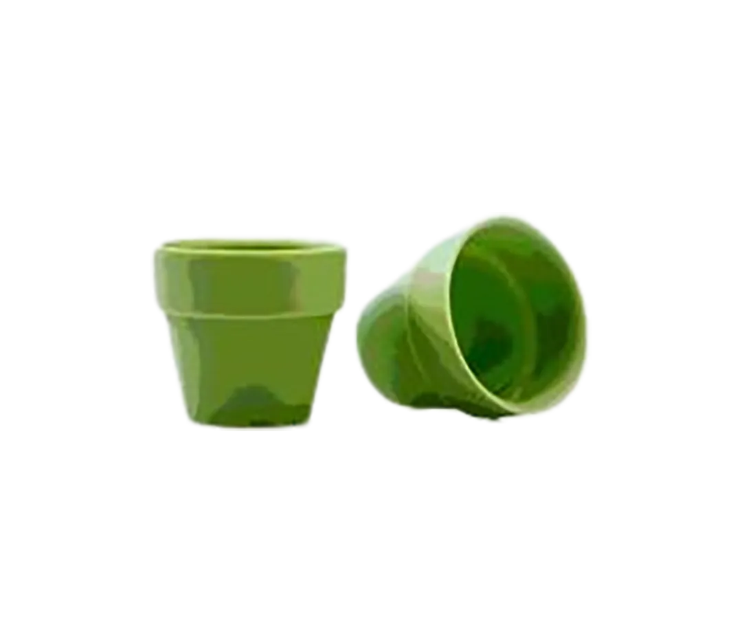 Pot de fleur vert en chocolat x28