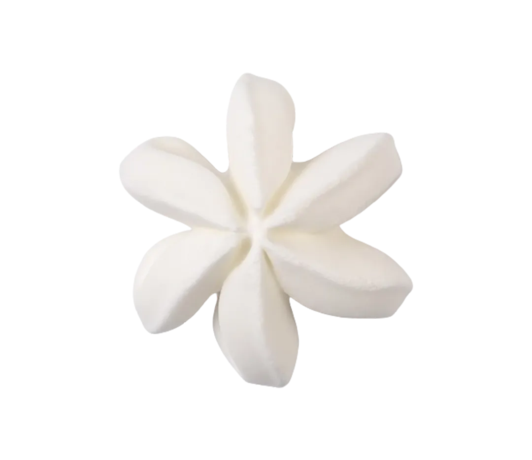 Meringues blanches carton de 272