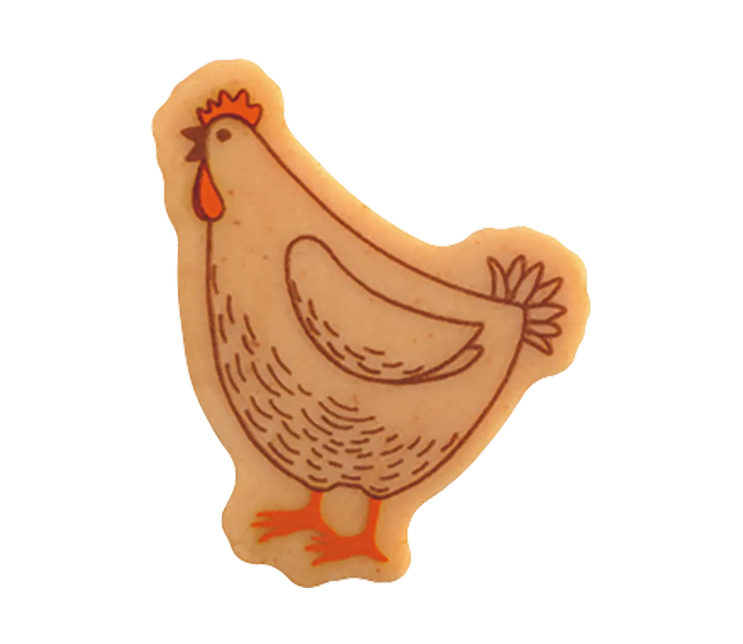 180 Poules CBC 4 designs