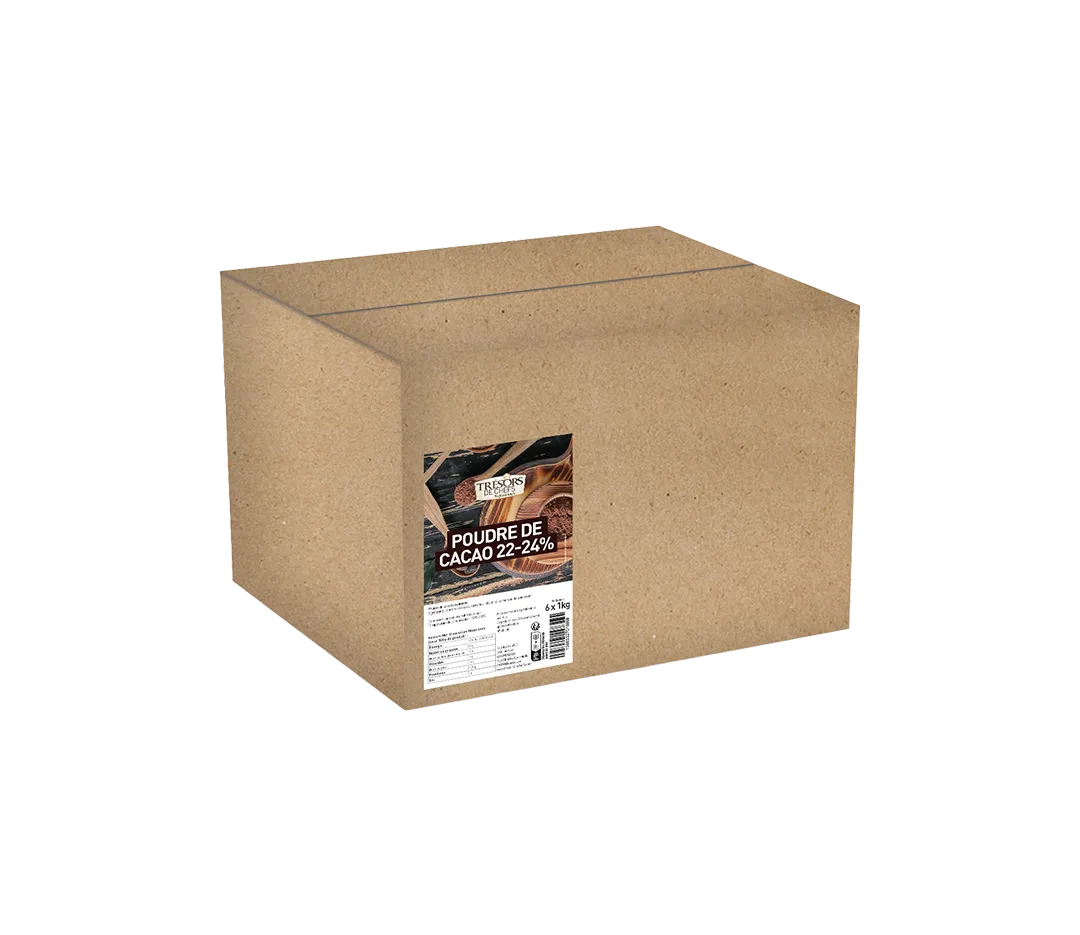 CACAO POUDRE 22/24% 6X1KG TDCP