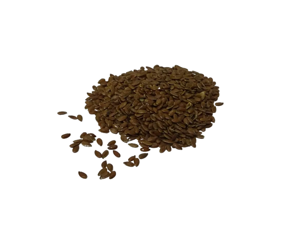 GRAINES LIN BRUN BIO SAC 5 KG PANEMEX